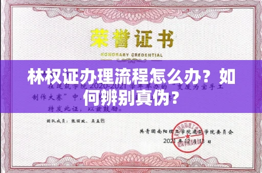 全国林权证办理流程怎么办?如何辨别真伪?