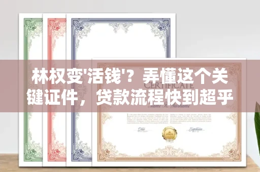 全国林权变'活钱'?弄懂这个关键证件,贷款流程快到超乎想象!