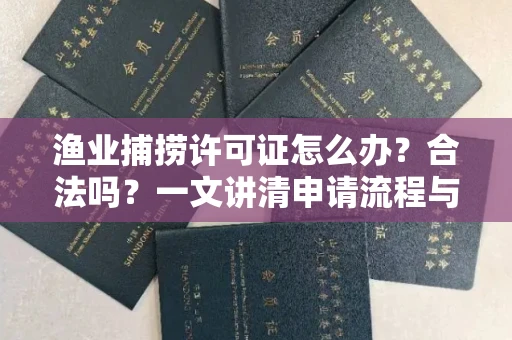 全国渔业捕捞许可证怎么办?合法吗?一文讲清申请流程与合规要点